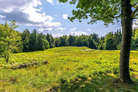 40 Holden Hill Road Weston VT 05161