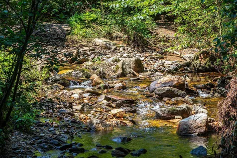 40 Holden Hill Road Weston VT 05161