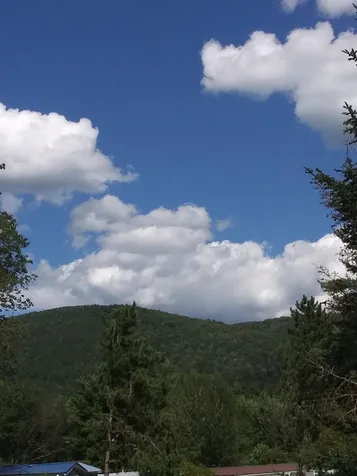 80 Skyline Lane Middlebury VT 05753