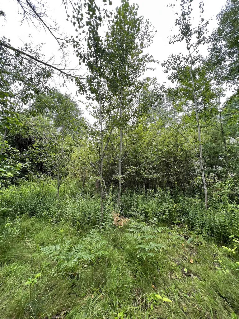 141 Prospect Street Bethlehem NH 03574