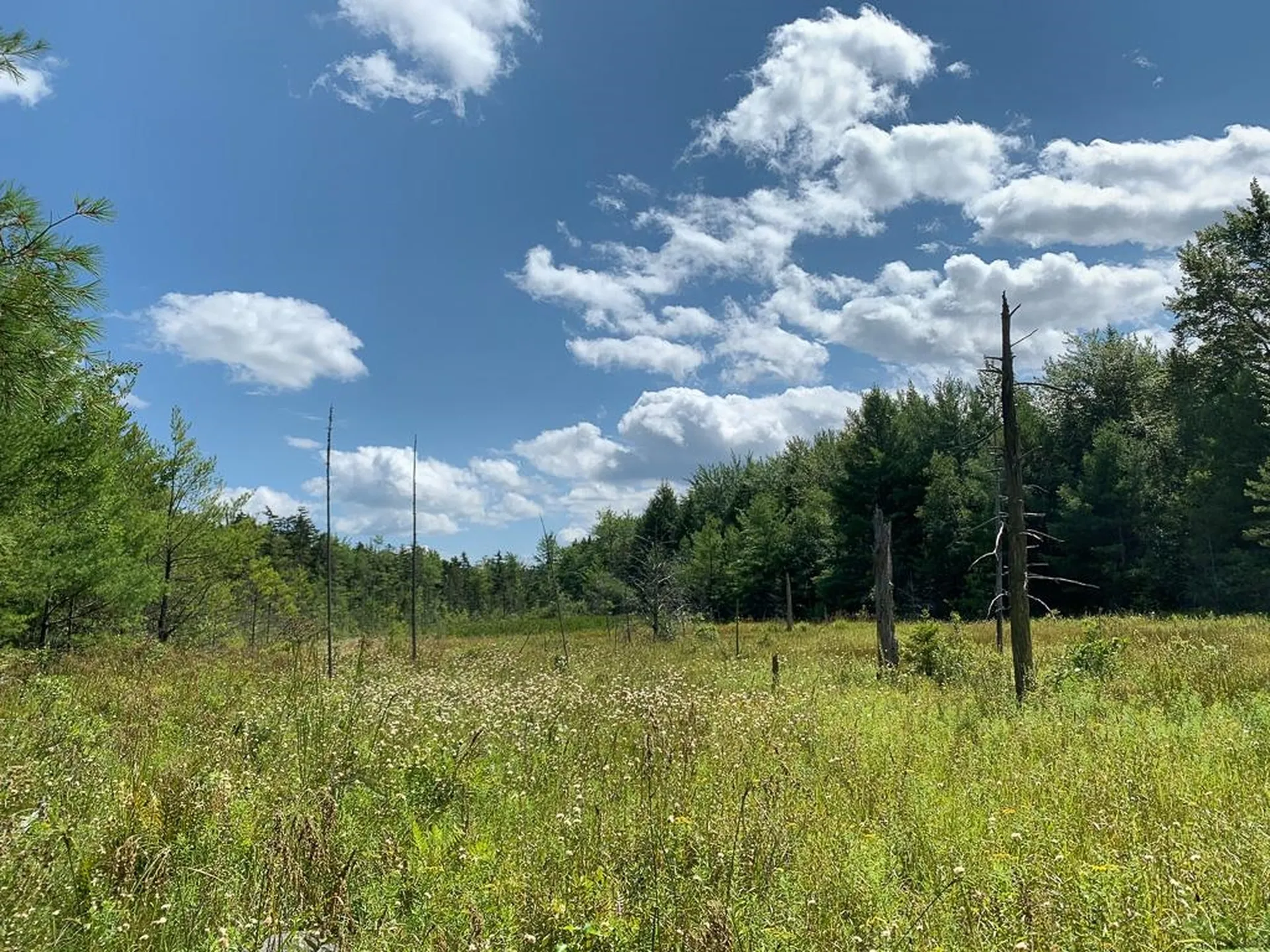 Marlow Hill Road Marlow NH 03456