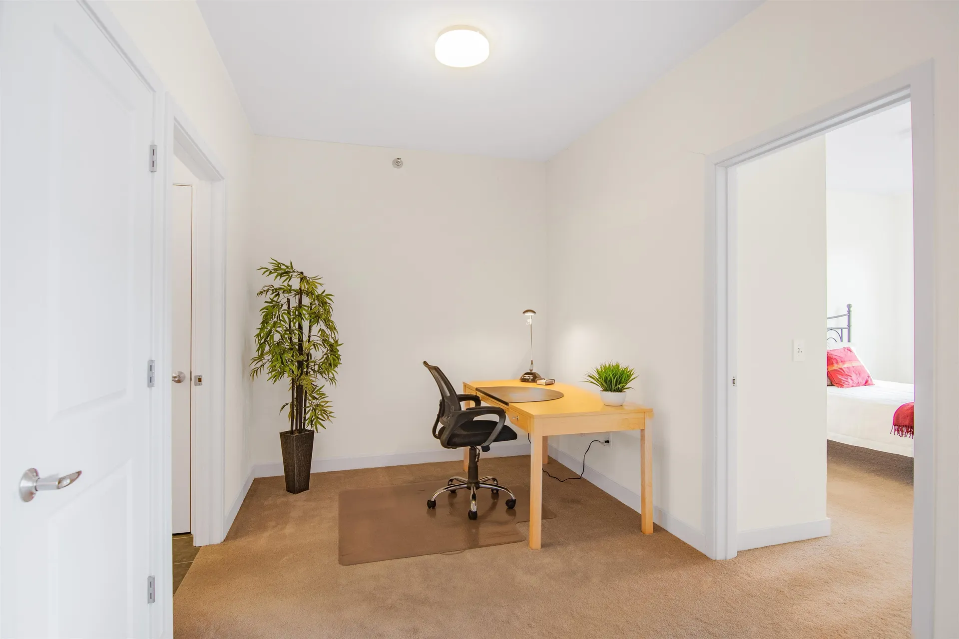 410 Farrell Street South Burlington VT 05403