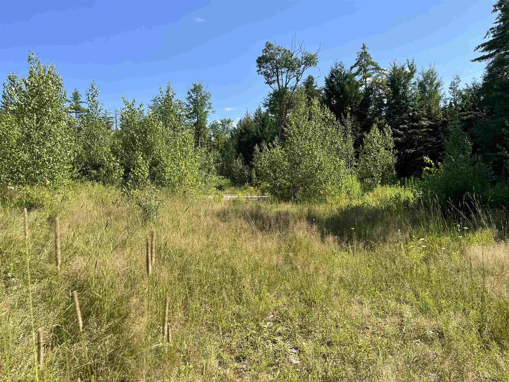 95 Stevens Road Effingham NH 03882