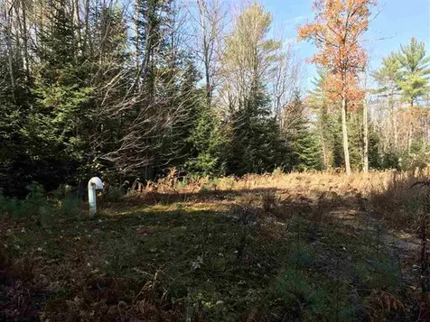 95 Stevens Road Effingham NH 03882