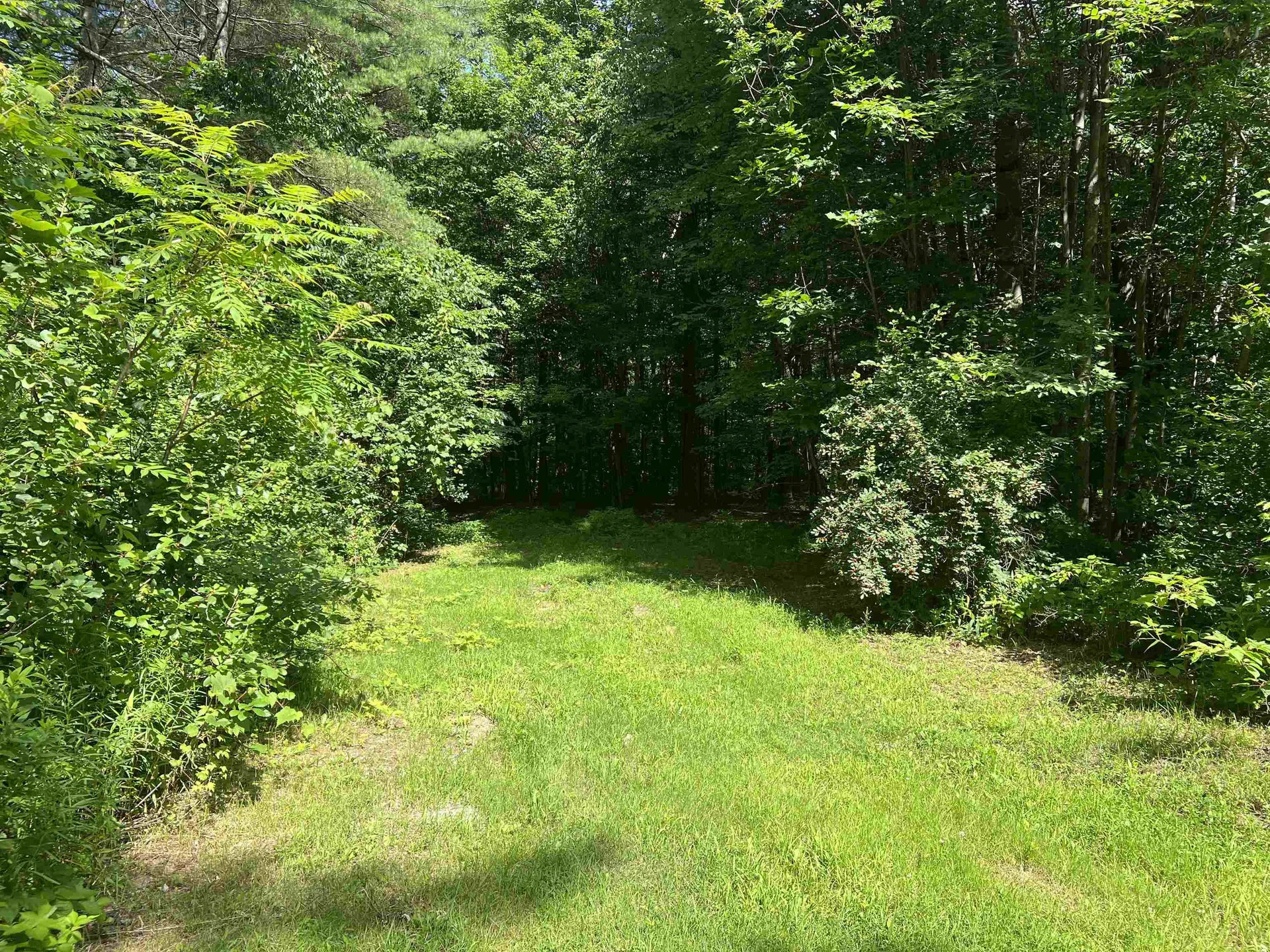 39 Champ Lane Bolton VT 05676