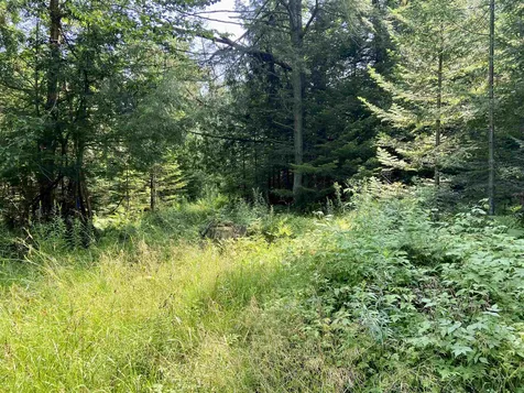 2431 Roaring Brook Road Barton VT 05822
