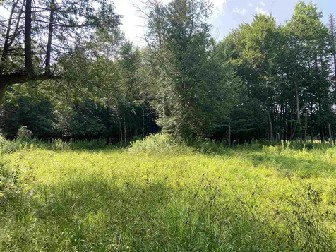 2431 Roaring Brook Road Barton VT 05822