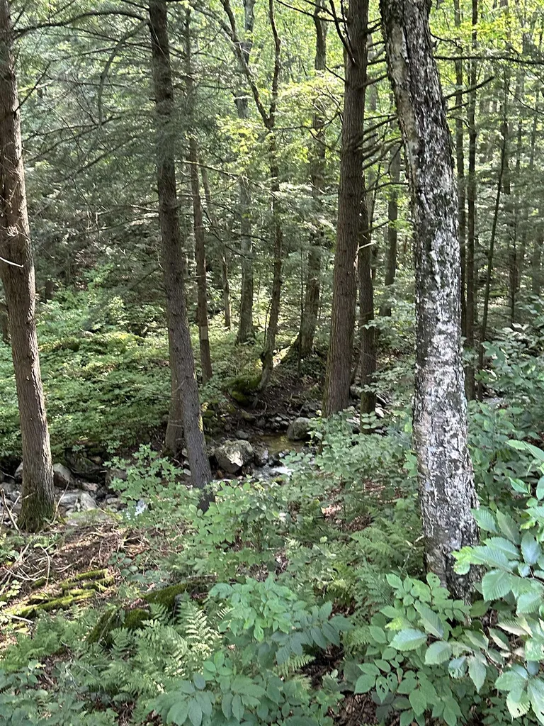 1169 Upper Notch Road Bristol VT 05443