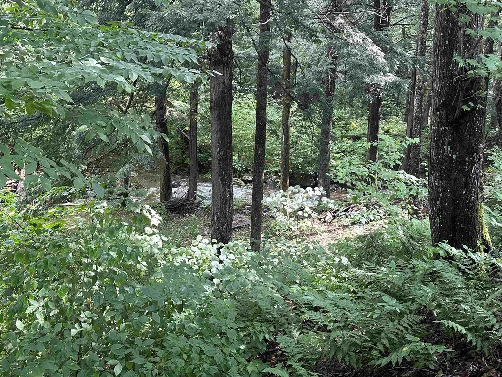 1169 Upper Notch Road Bristol VT 05443