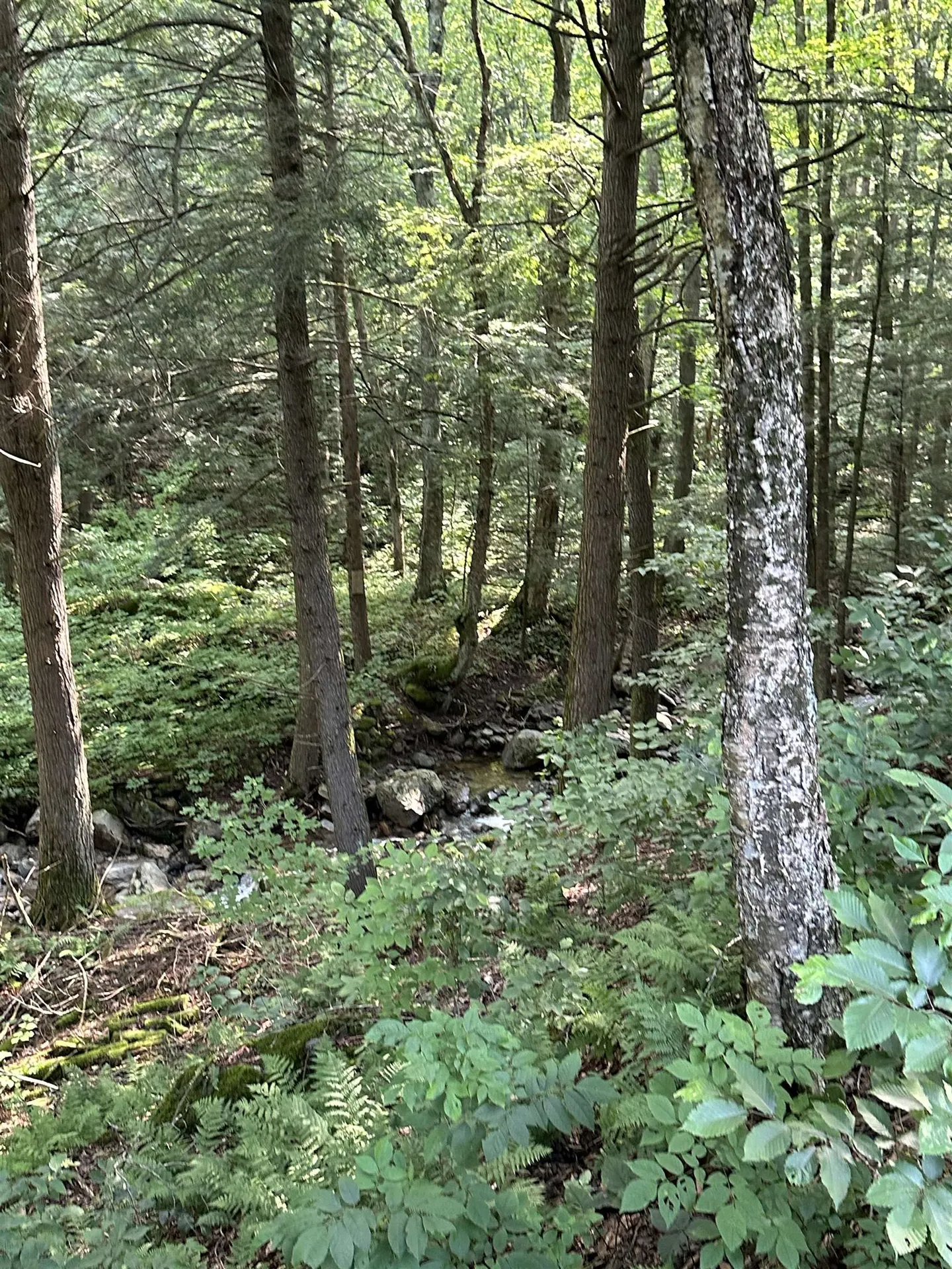 1169 Upper Notch Road Bristol VT 05443