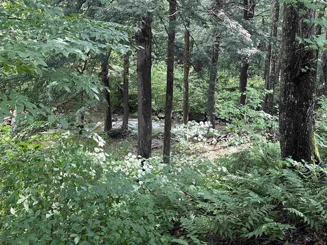 1169 Upper Notch Road Bristol VT 05443