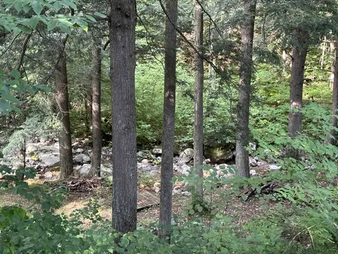 1169 Upper Notch Road Bristol VT 05443