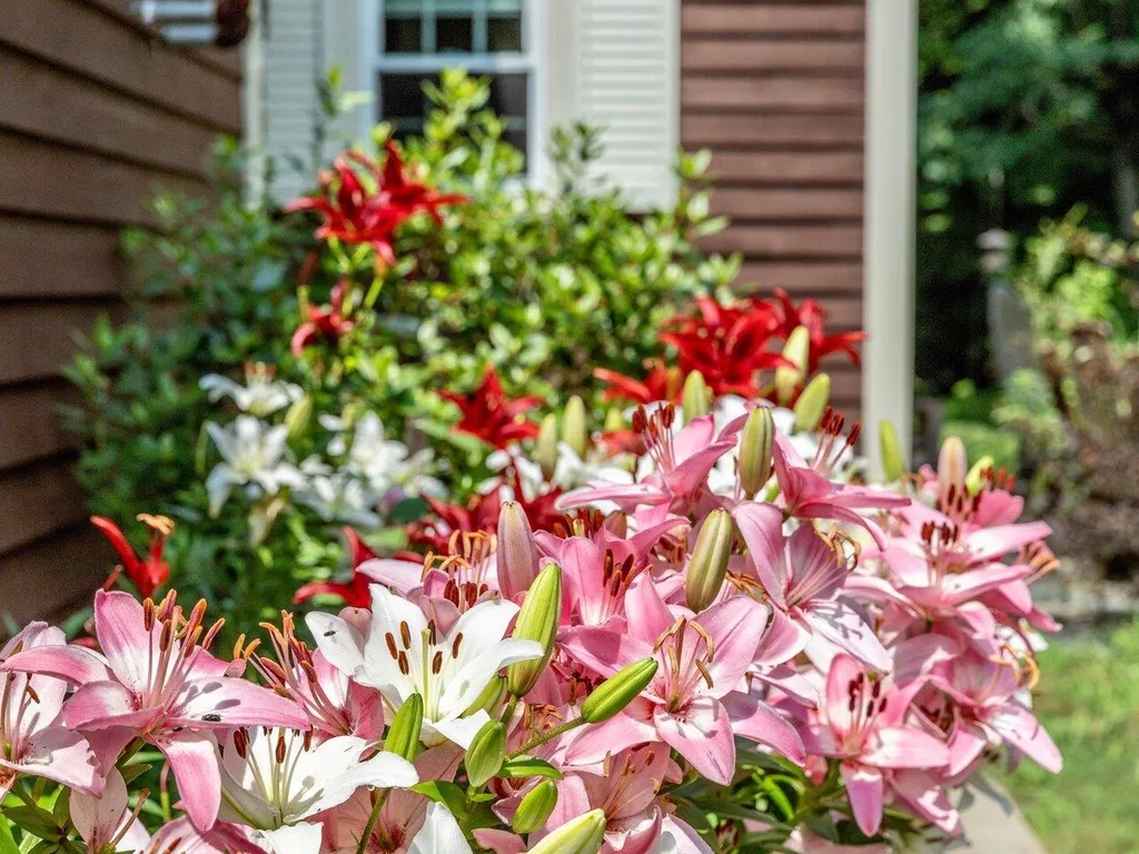 126 Woodbine By The Lake Colchester VT 05446