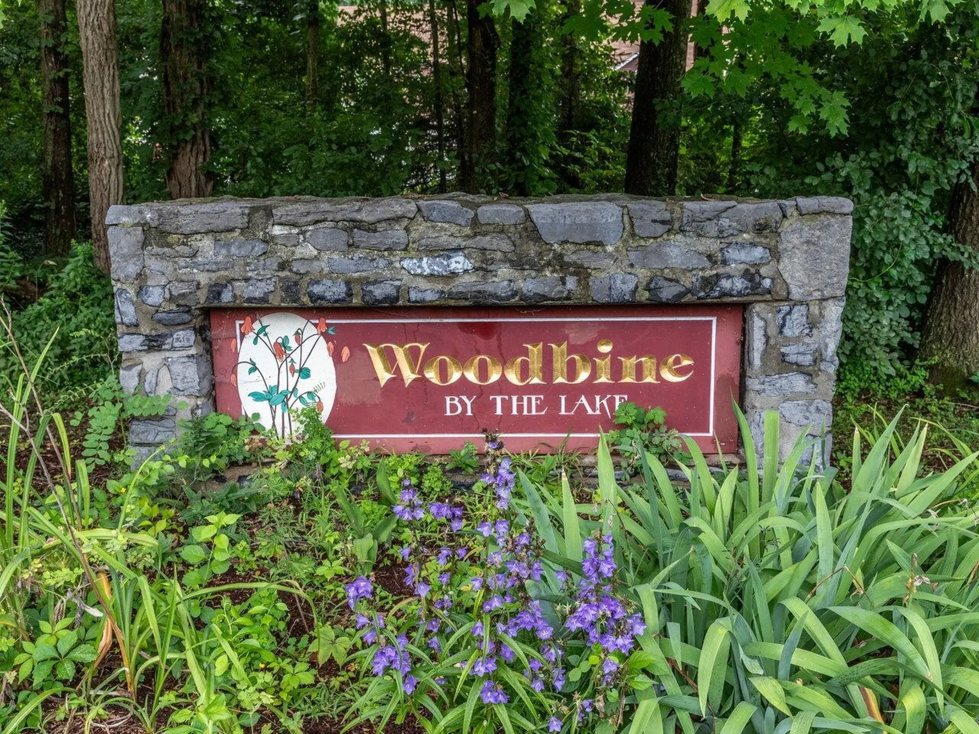 126 Woodbine By The Lake Colchester VT 05446