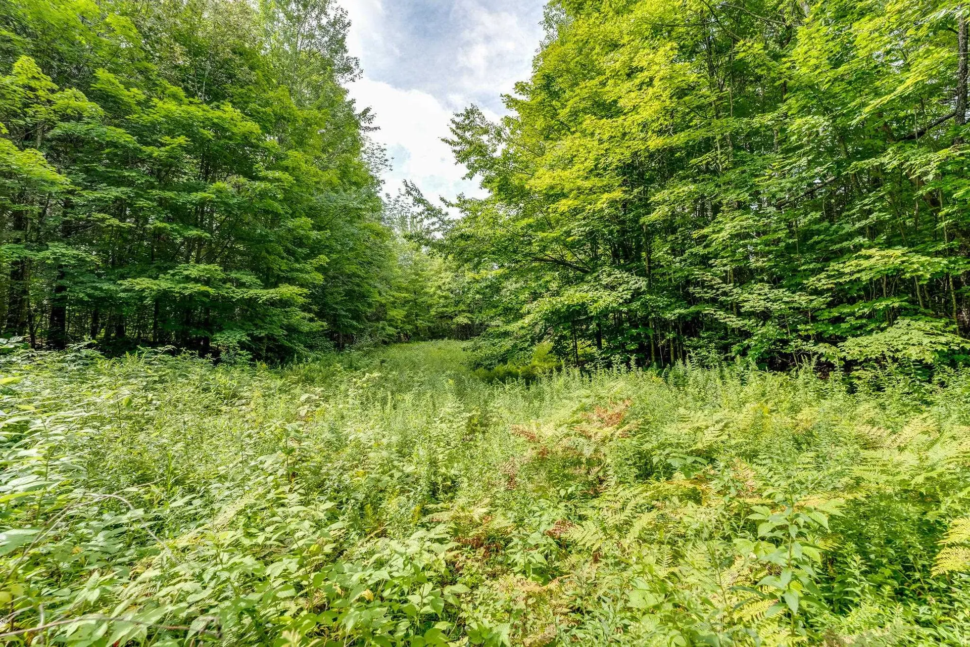 0 Barnes Road East Montpelier VT 05602