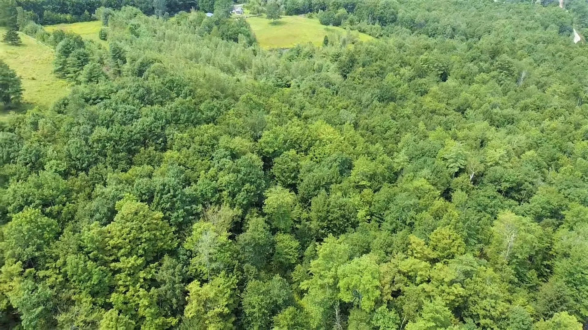 00 Coach Road Chester VT 05143