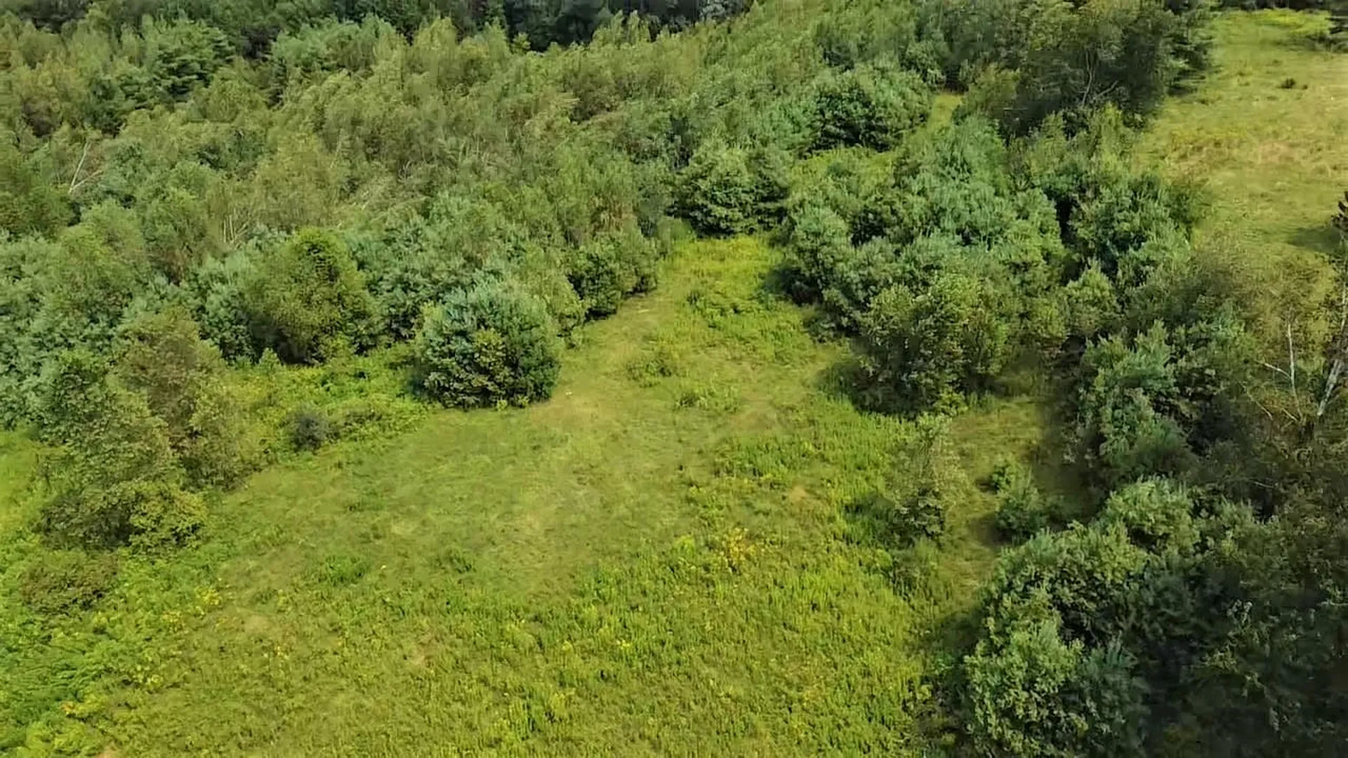 00 Coach Road Chester VT 05143