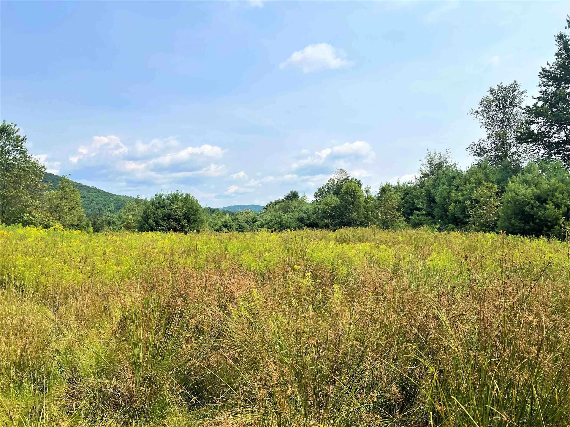 00 Coach Road Chester VT 05143