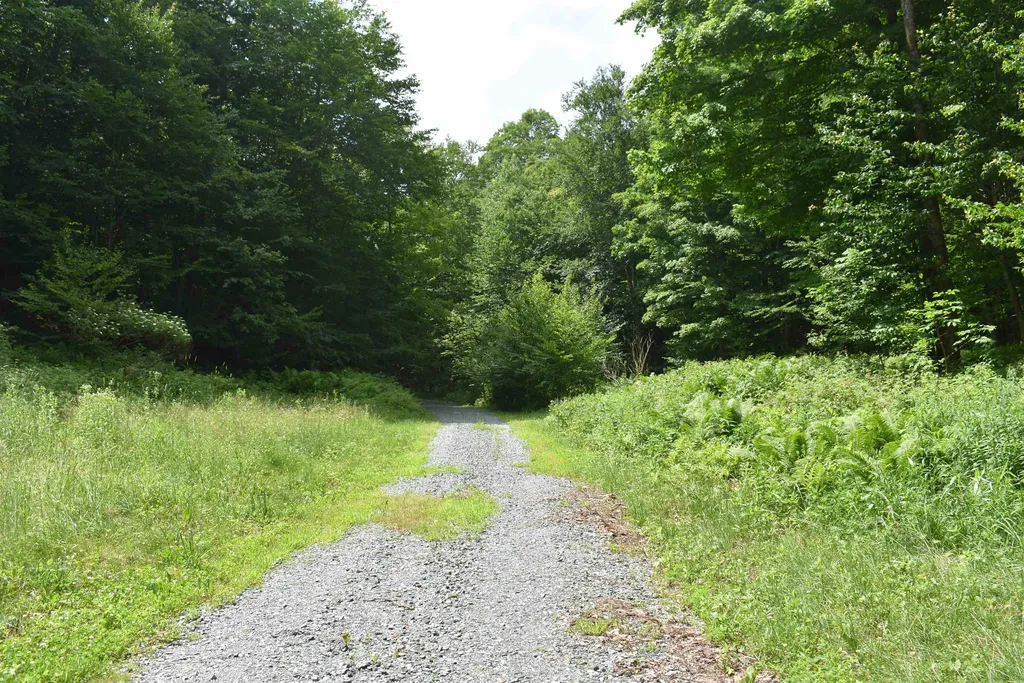 4678 South Main Street Montgomery VT 05471