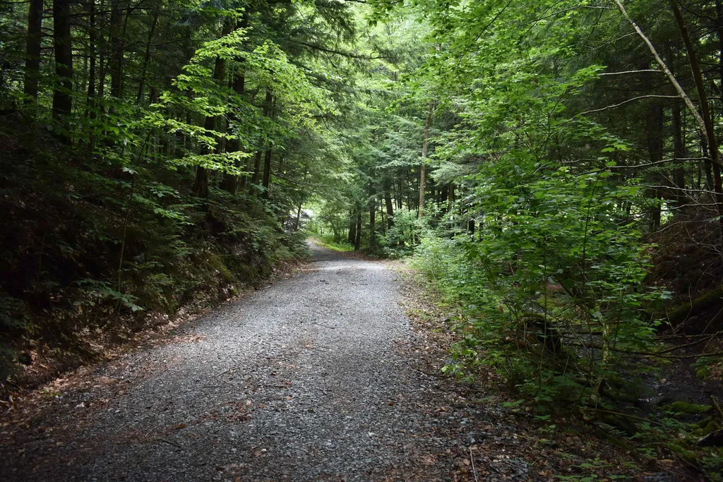 4678 South Main Street Montgomery VT 05471