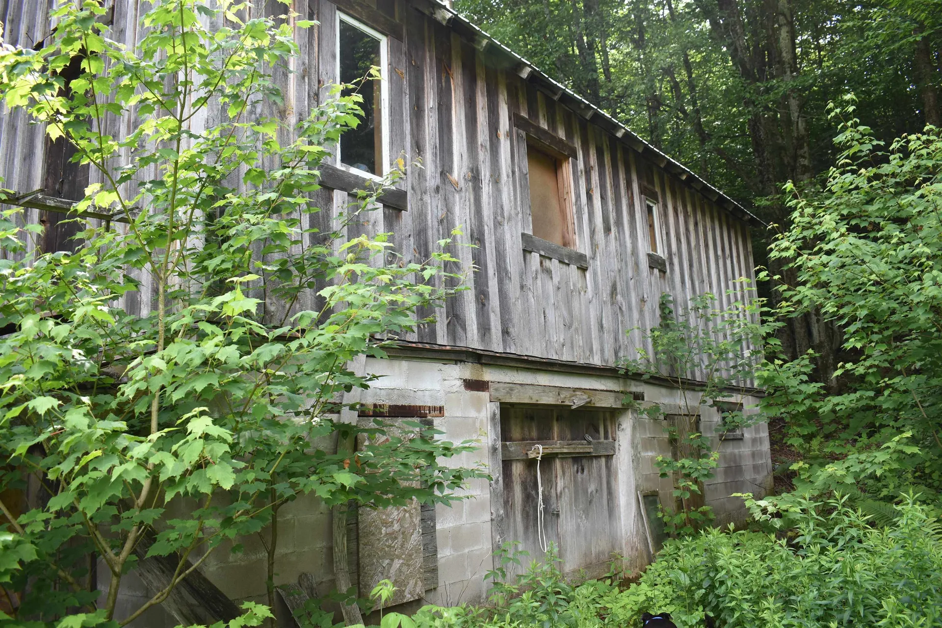 4678 South Main Street Montgomery VT 05471