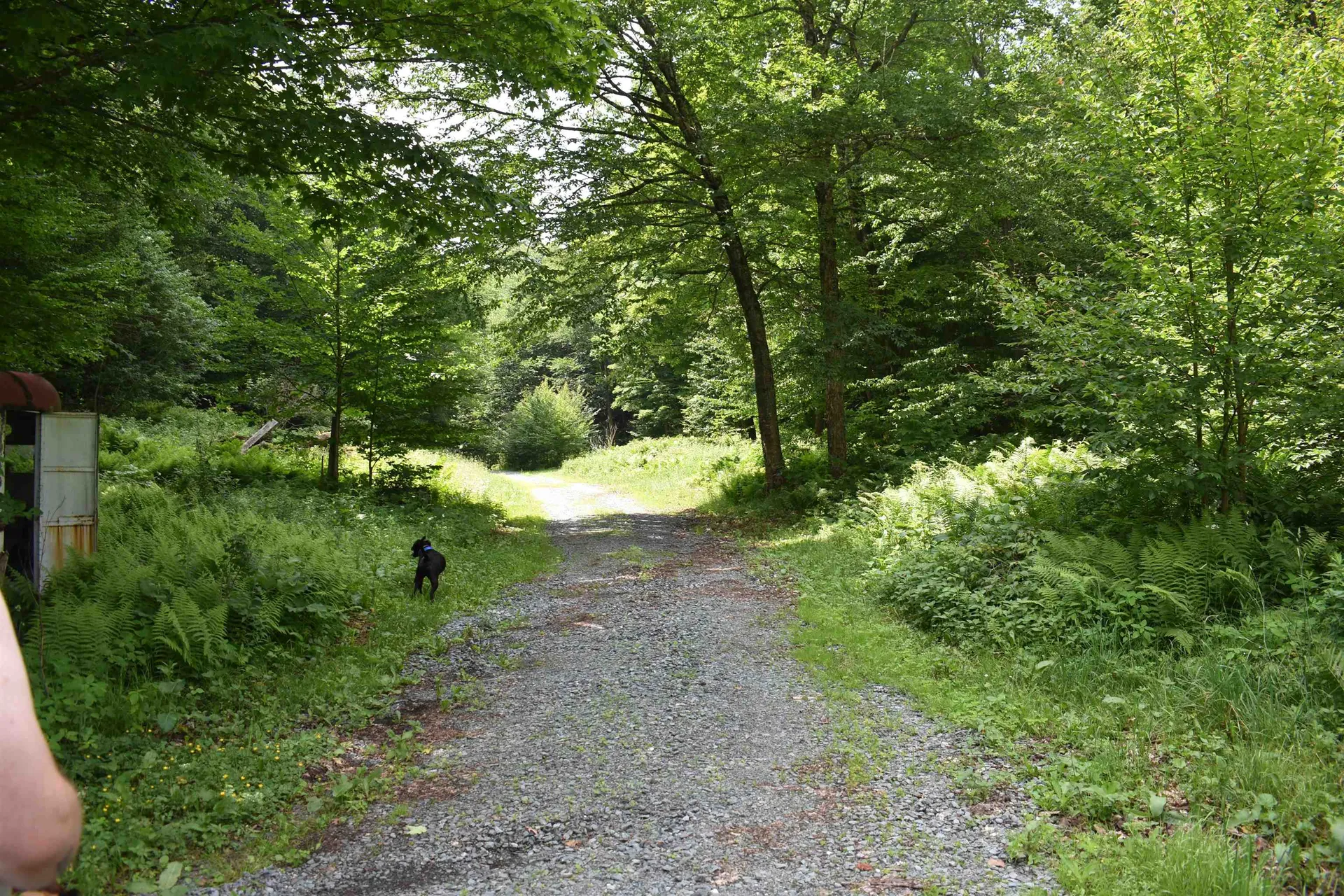 4678 South Main Street Montgomery VT 05471