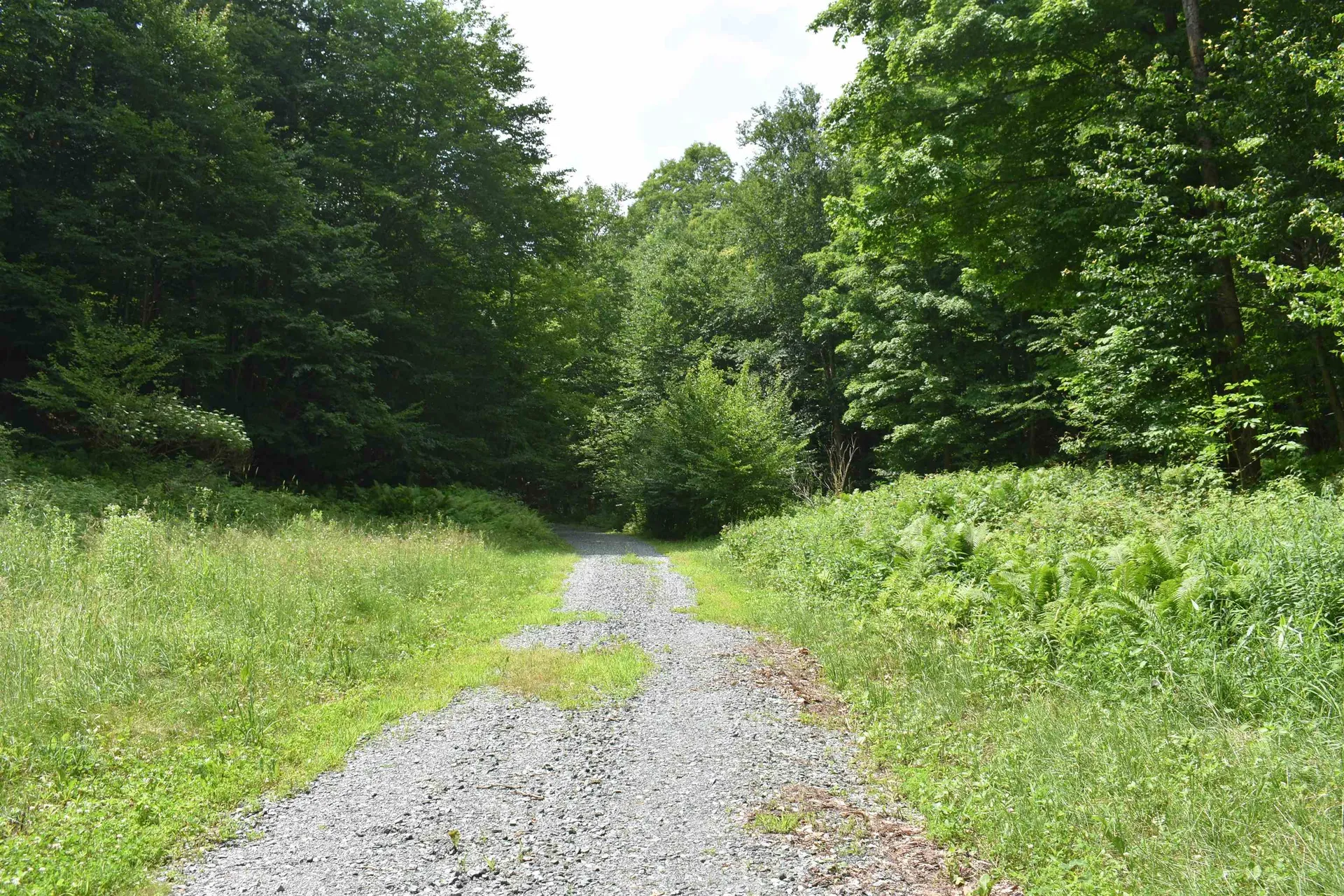 4678 South Main Street Montgomery VT 05471