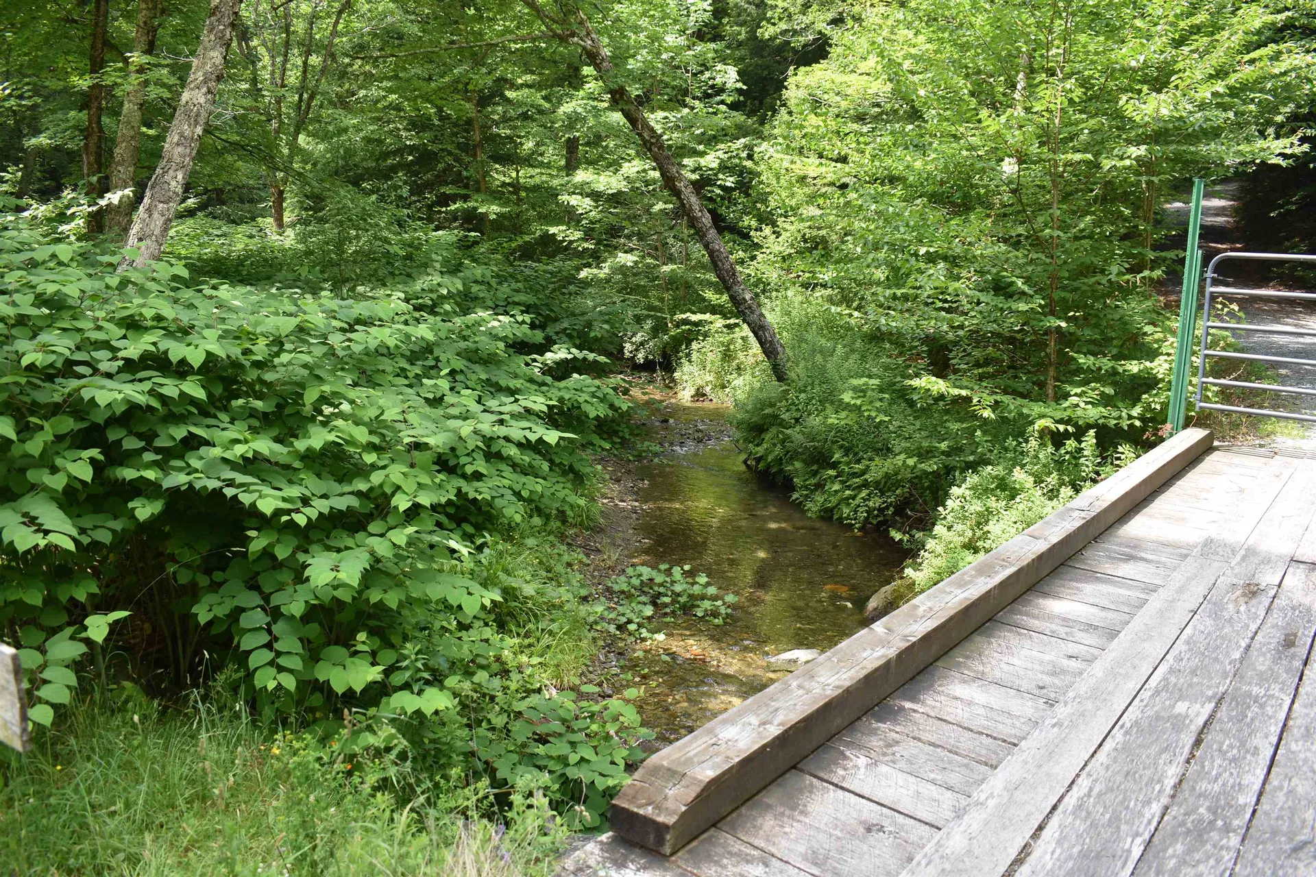 4678 South Main Street Montgomery VT 05471