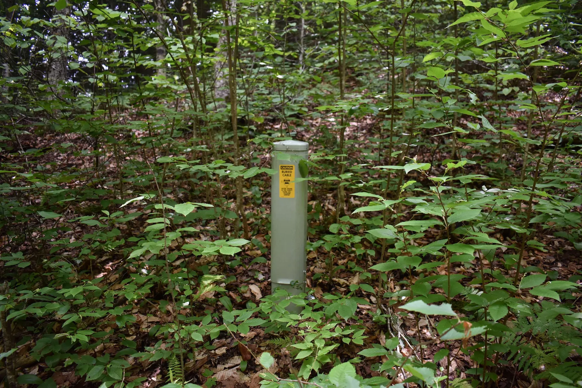 4678 South Main Street Montgomery VT 05471