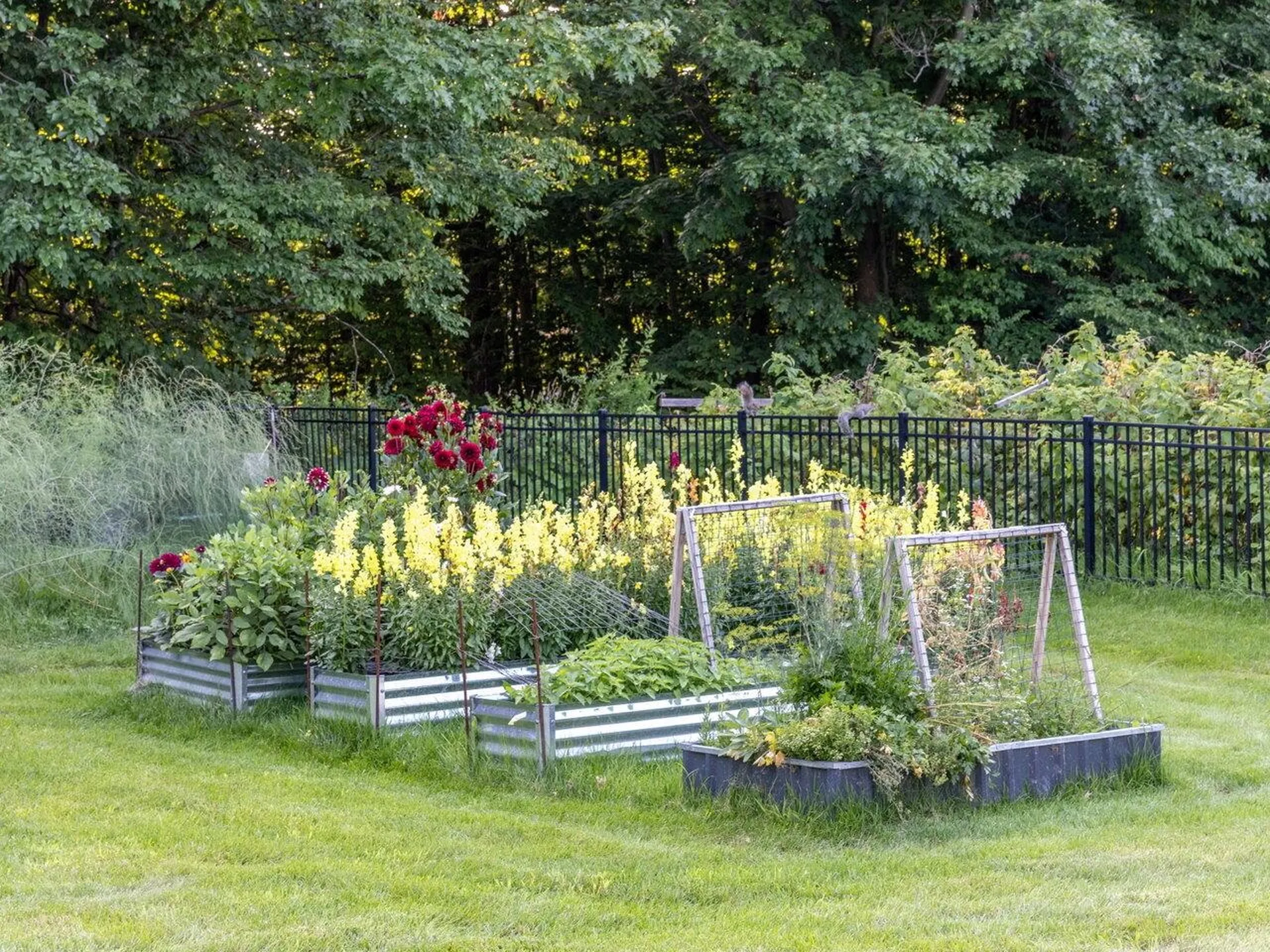798 Ridgefield Road Shelburne VT 05482