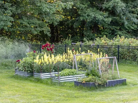 798 Ridgefield Road Shelburne VT 05482