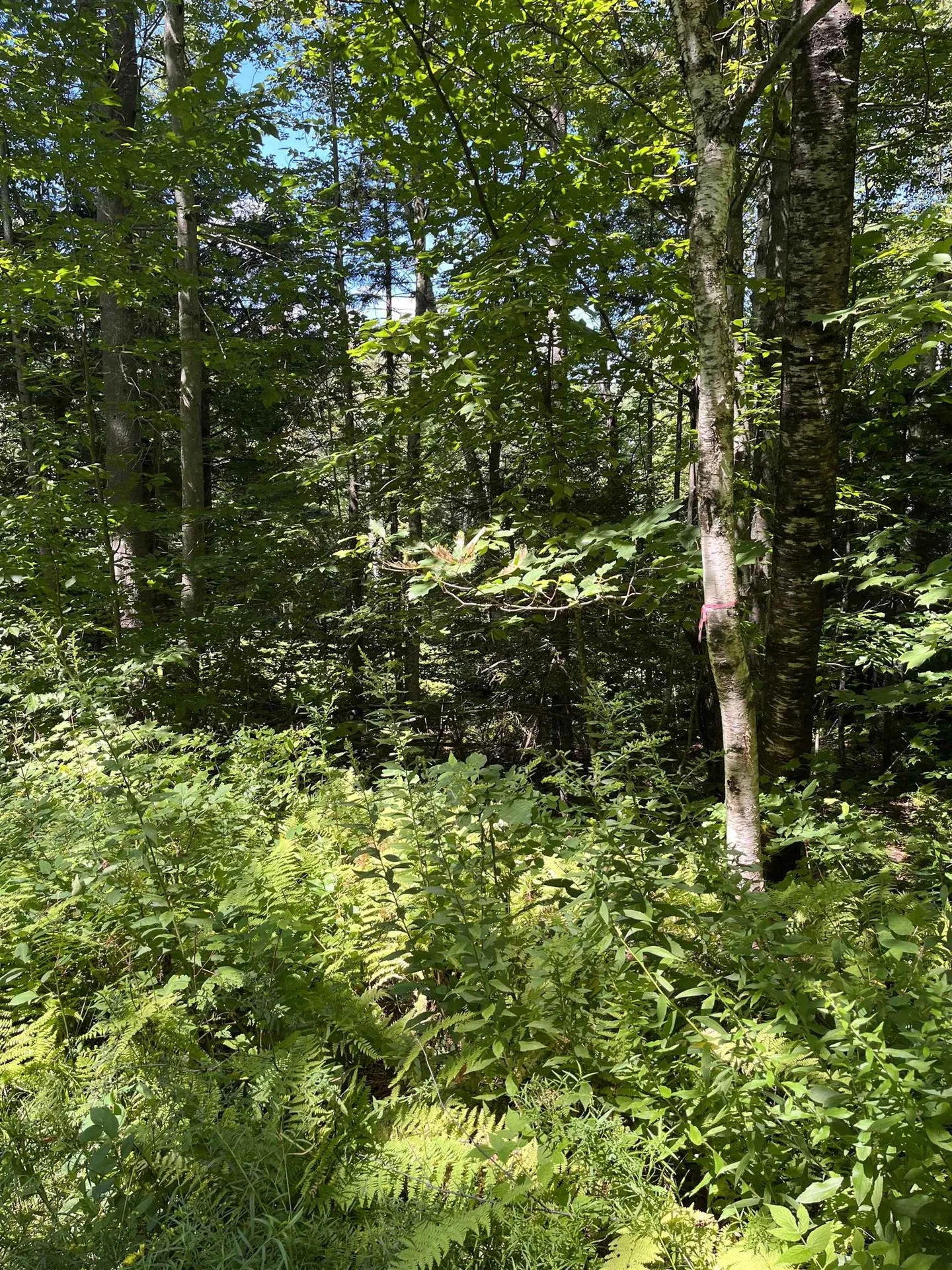 00 Berry Patch Lane Ludlow VT 05149