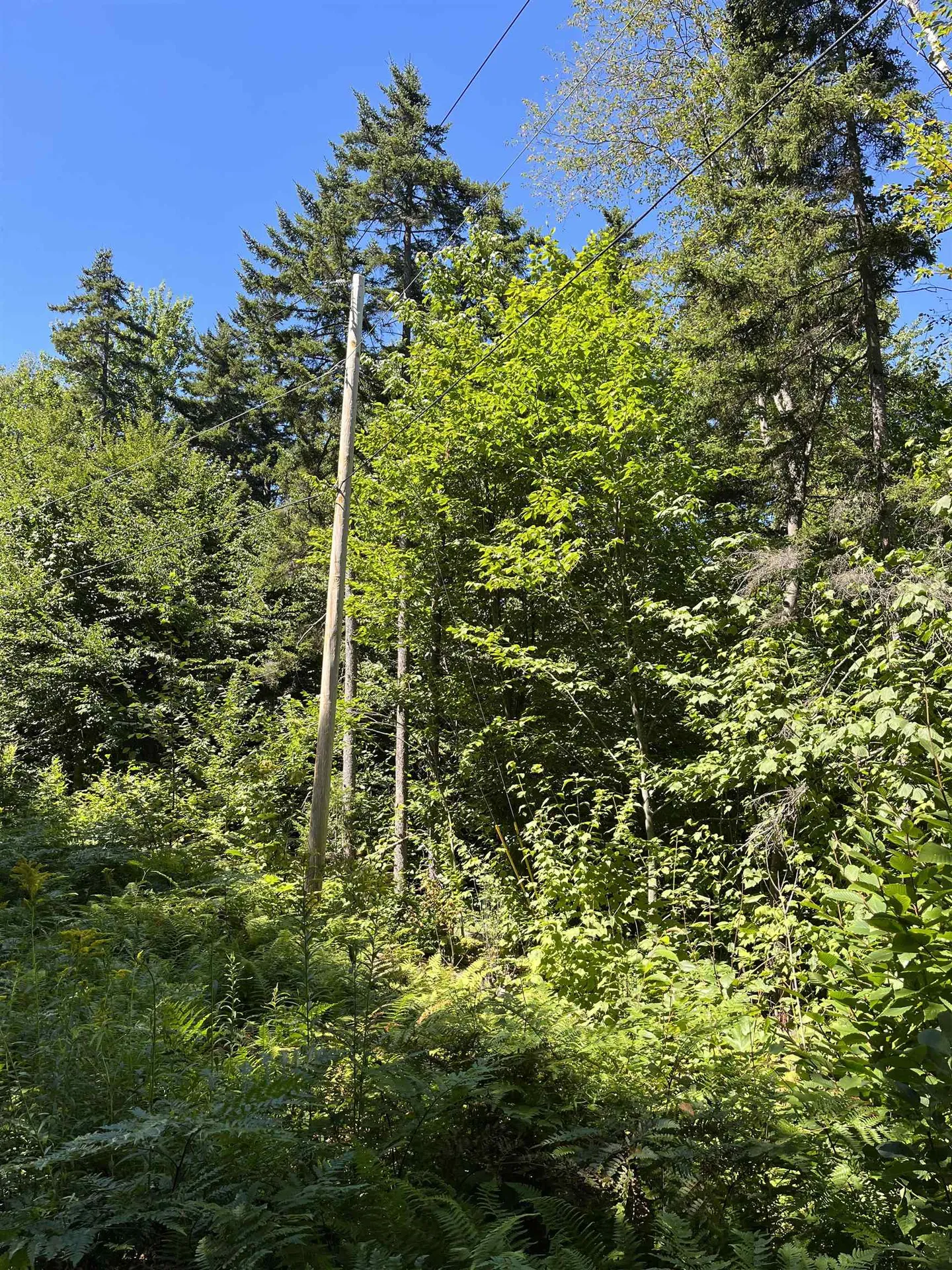 00 Berry Patch Lane Ludlow VT 05149