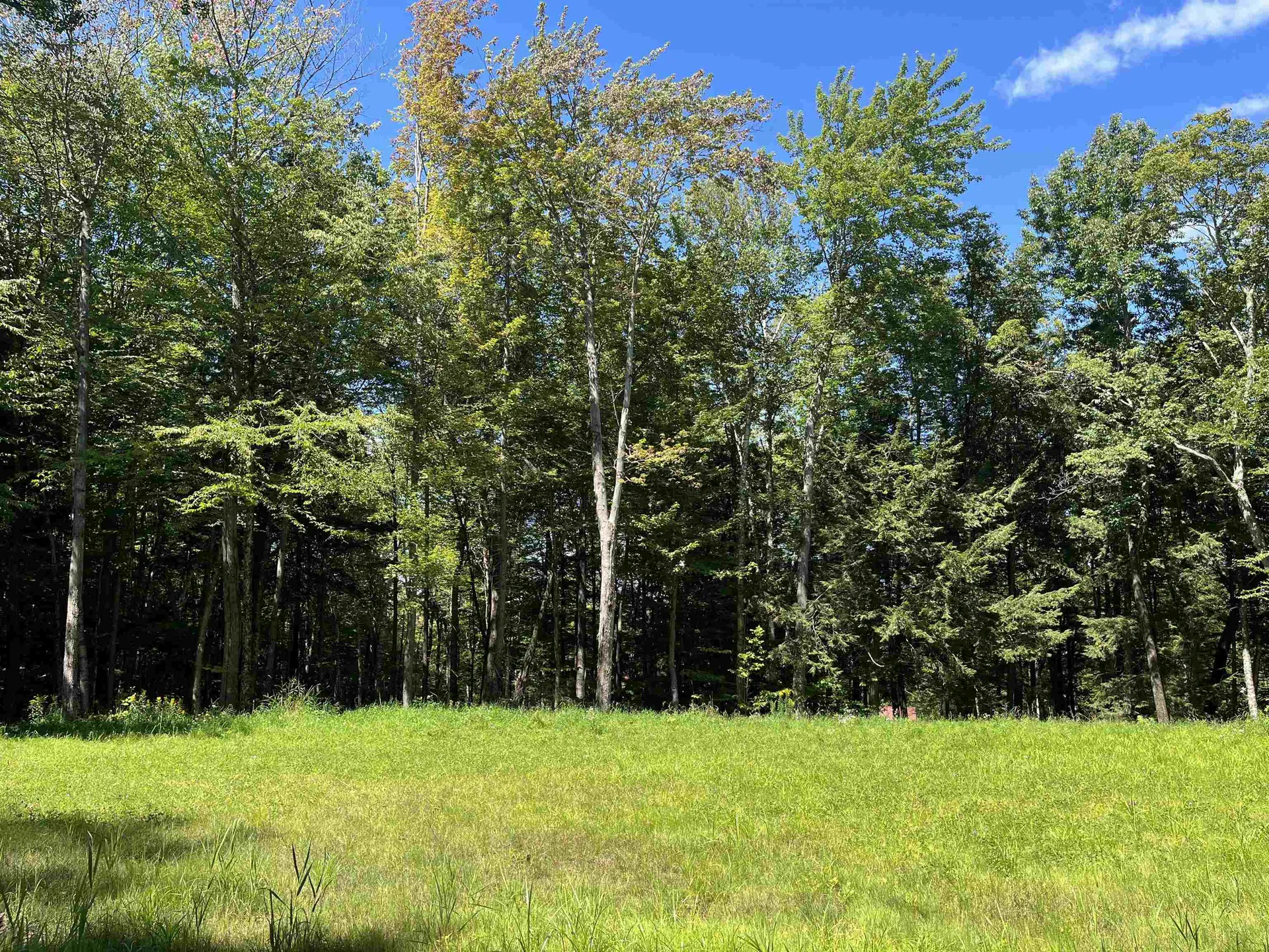 00 Berry Patch Lane Ludlow VT 05149