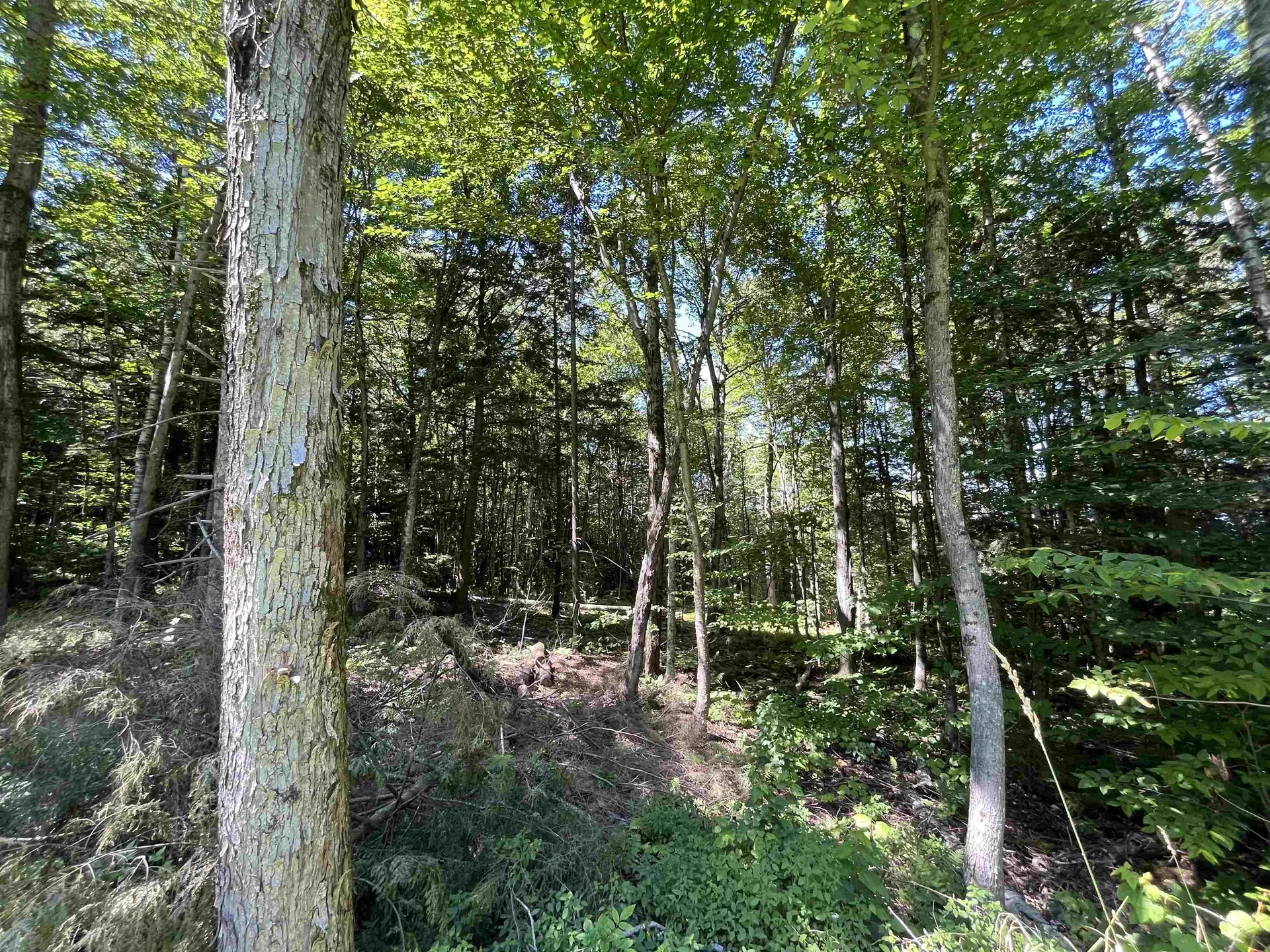 00 Berry Patch Lane Ludlow VT 05149