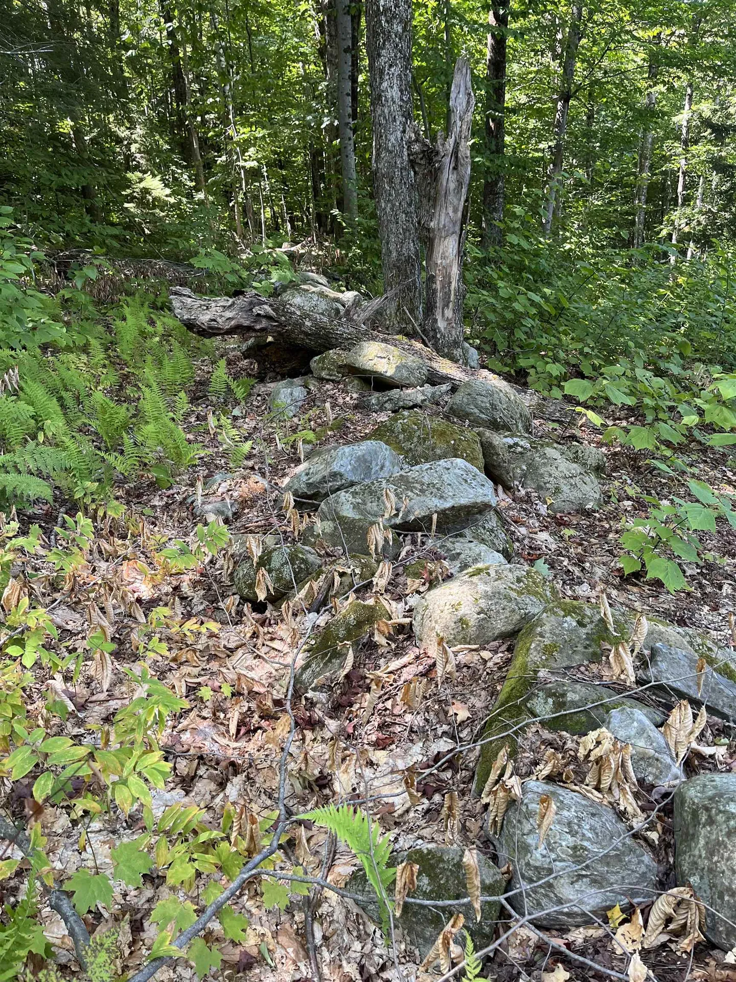 00 Berry Patch Lane Ludlow VT 05149