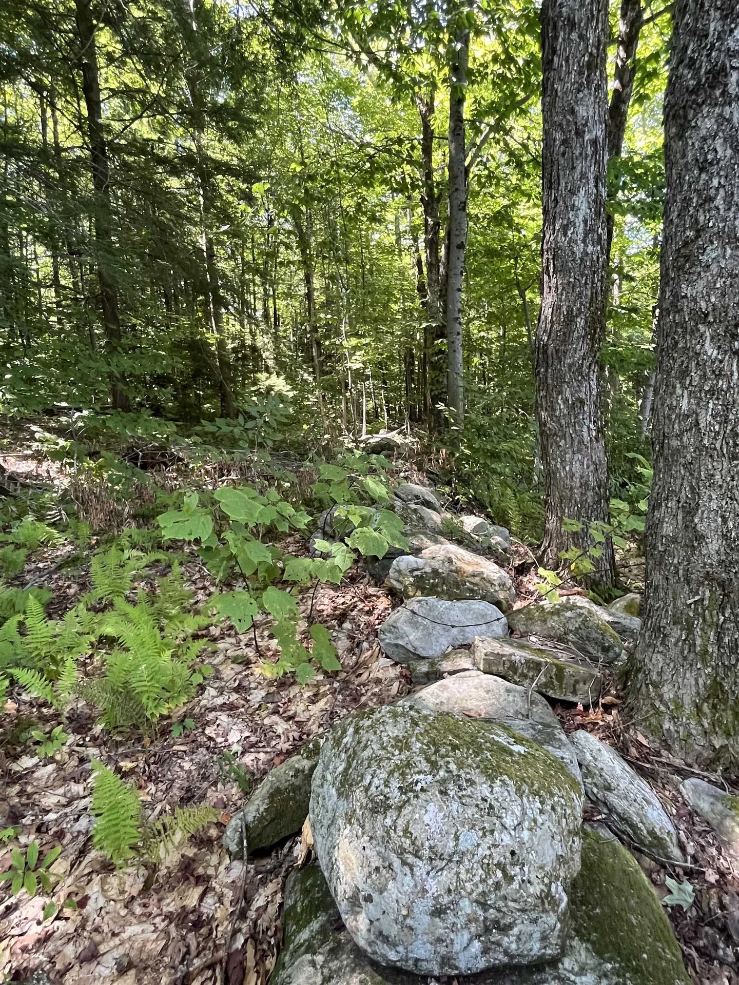 00 Berry Patch Lane Ludlow VT 05149