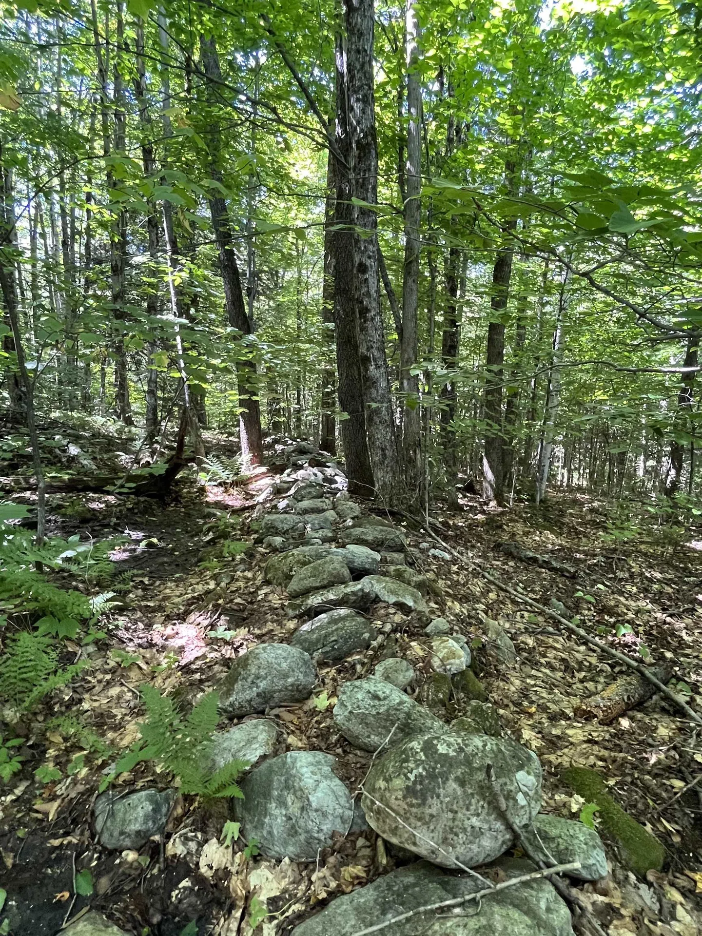 00 Berry Patch Lane Ludlow VT 05149