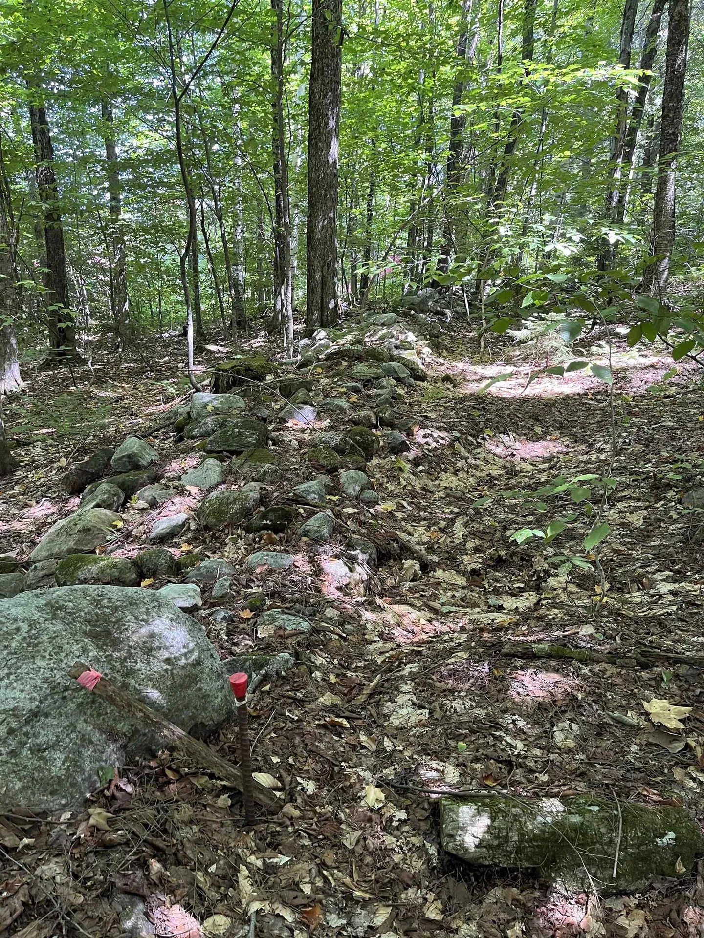 00 Berry Patch Lane Ludlow VT 05149