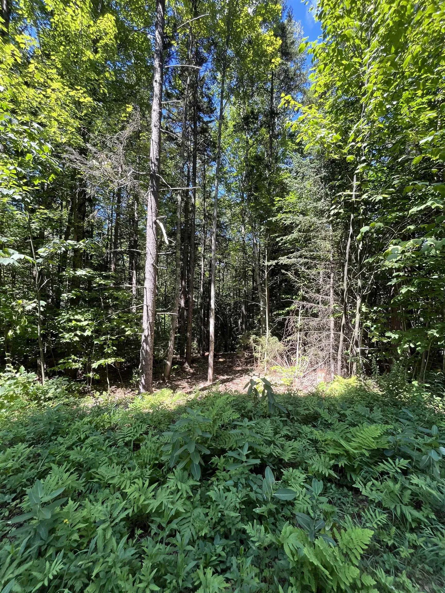 00 Berry Patch Lane Ludlow VT 05149