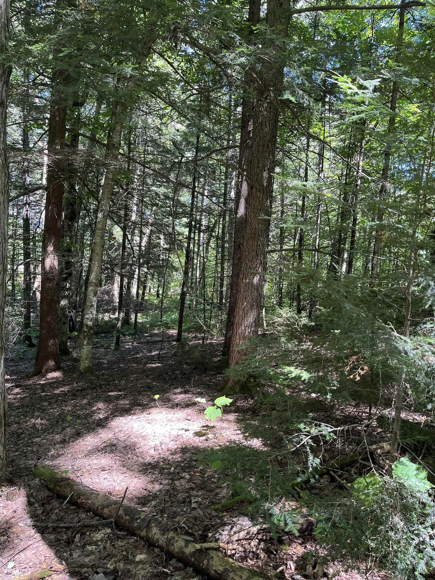 00 Berry Patch Lane Ludlow VT 05149