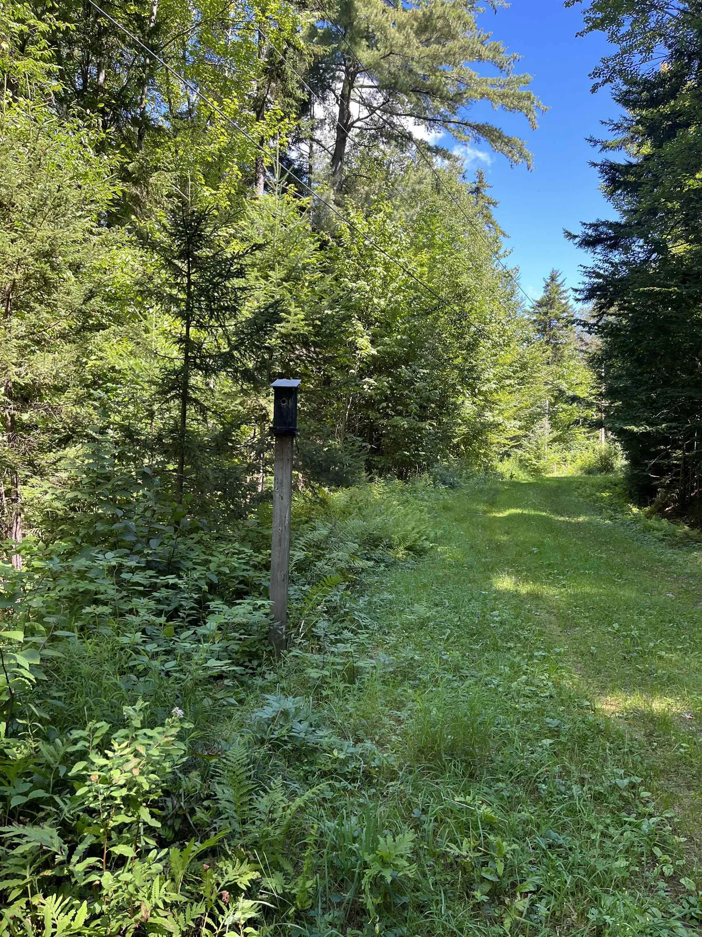 00 Berry Patch Lane Ludlow VT 05149