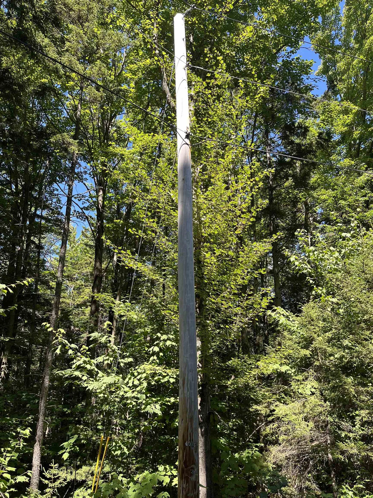 00 Berry Patch Lane Ludlow VT 05149