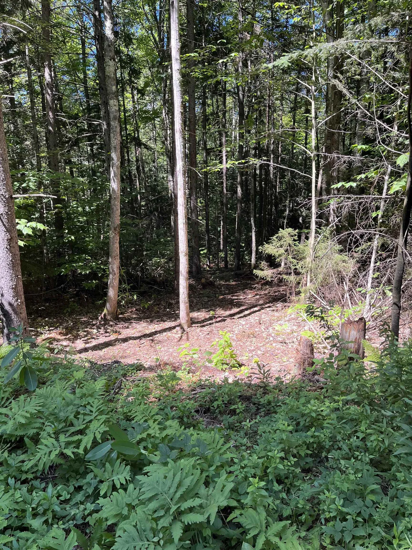 00 Berry Patch Lane Ludlow VT 05149