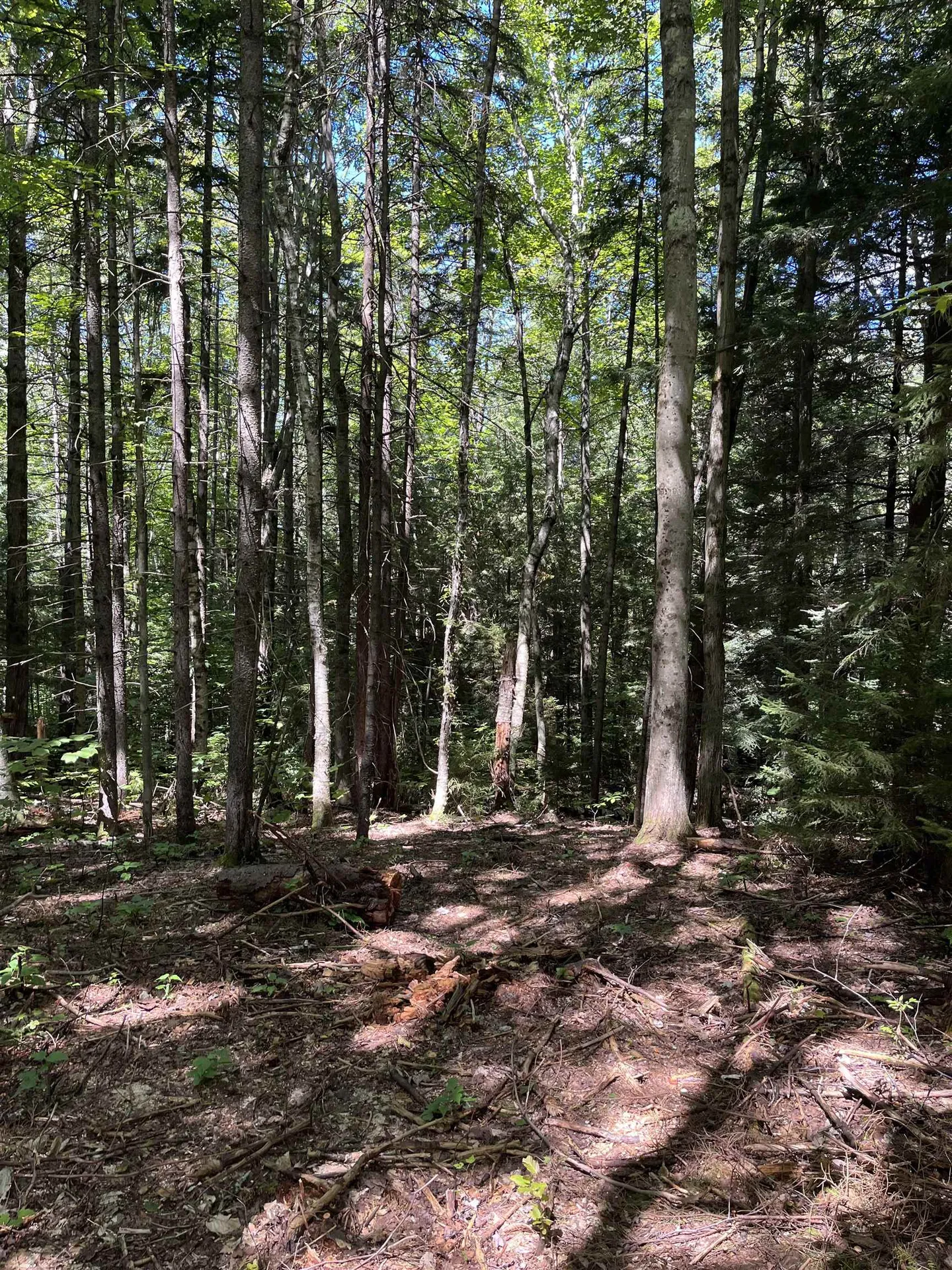 00 Berry Patch Lane Ludlow VT 05149