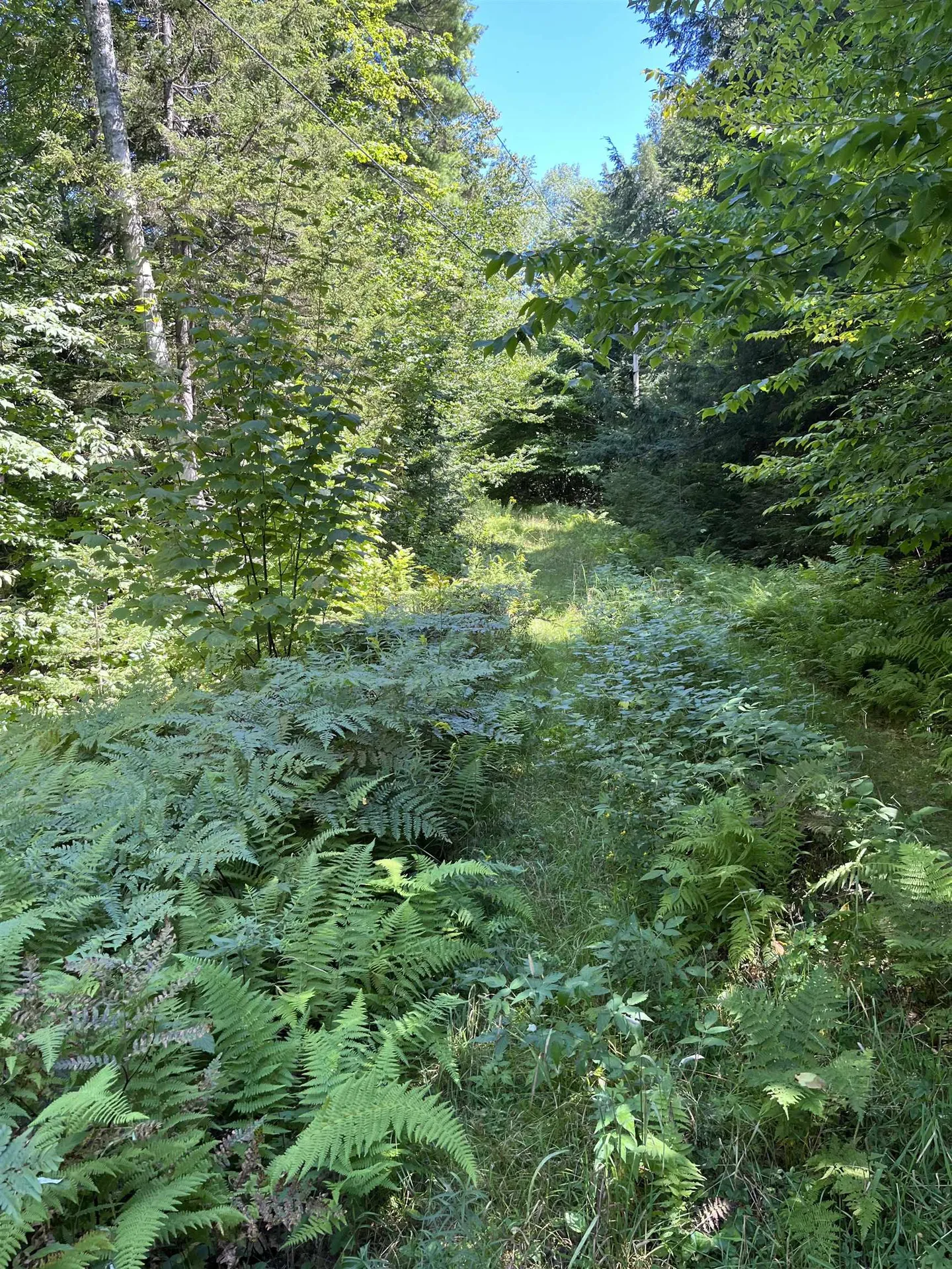 00 Berry Patch Lane Ludlow VT 05149