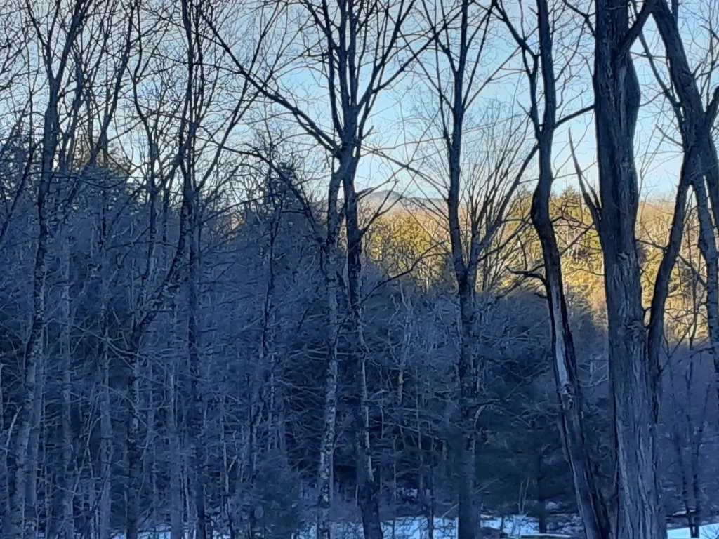 Lower Middle Road & Pasquale Lane Chittenden VT 05737