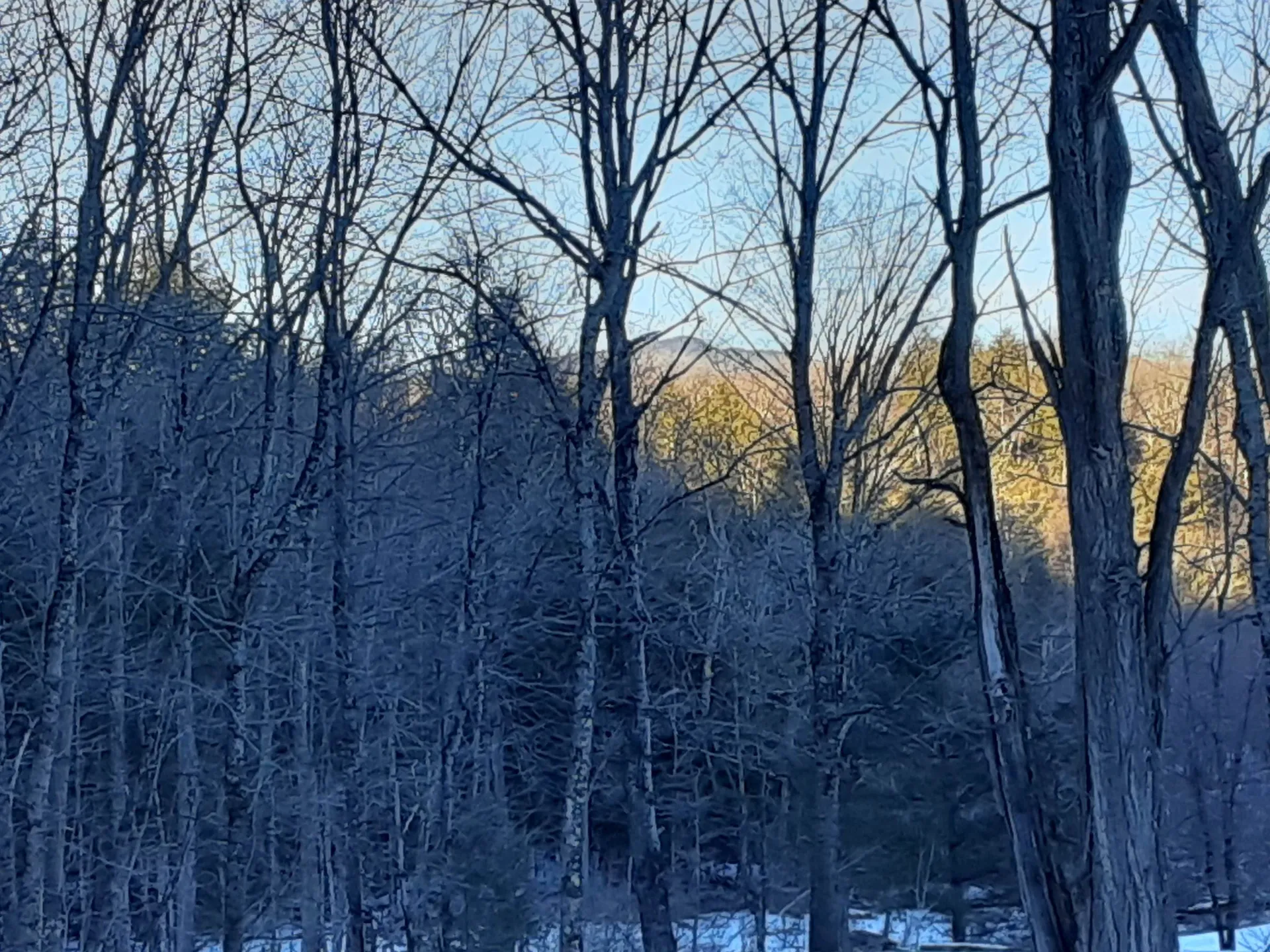 Lower Middle Road & Pasquale Lane Chittenden VT 05737