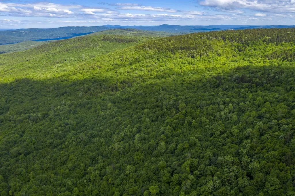 23 Spruce Ridge Road Hebron NH 03241