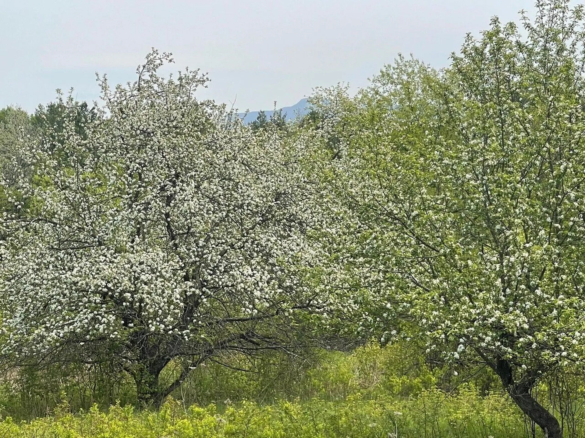 137 Towers Road Essex VT 05452